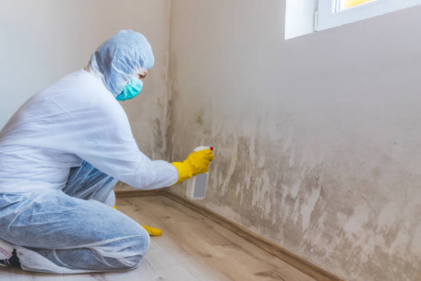 Hvac And Air Duct Mold Remediation inspection of HVAC system in Reedville