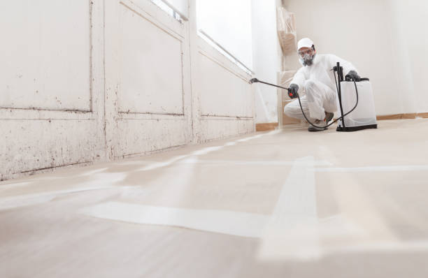Black mold remediation team in Reedville